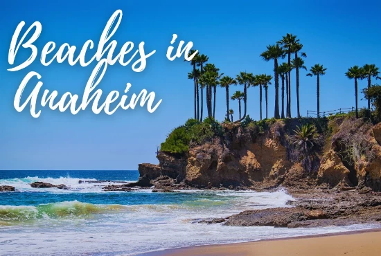 Top 8 Beaches in Anaheim 